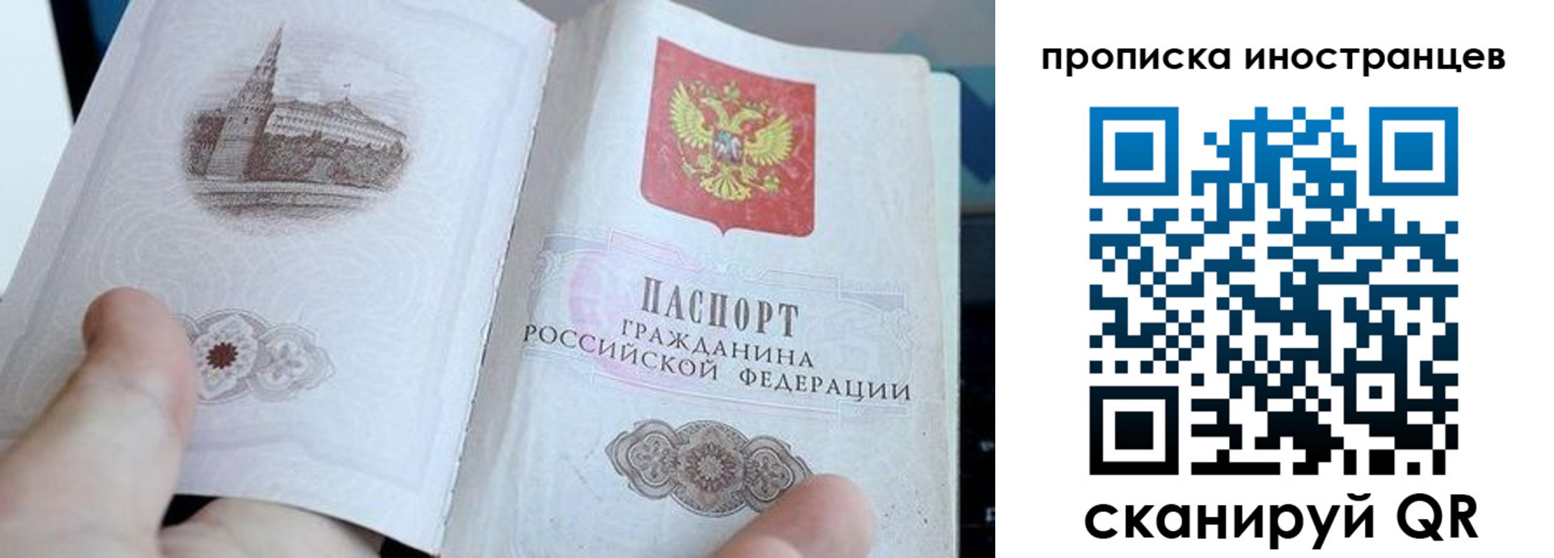 прописка поиск в Владимире